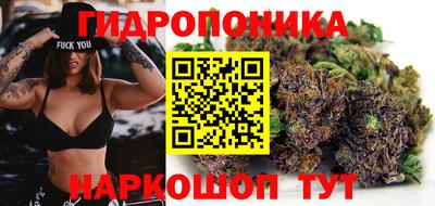 гидра Мариинск