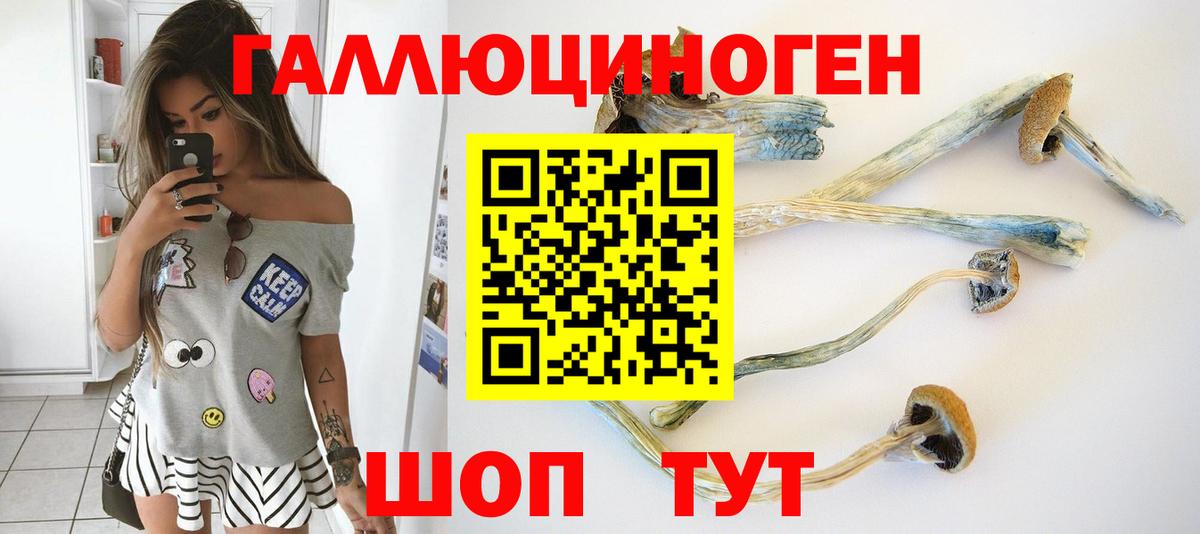 Долгопрудный  Галлюциногенные грибы прущие грибы  Вход с VPN 